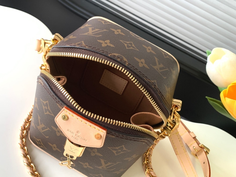 LV Satchel bags